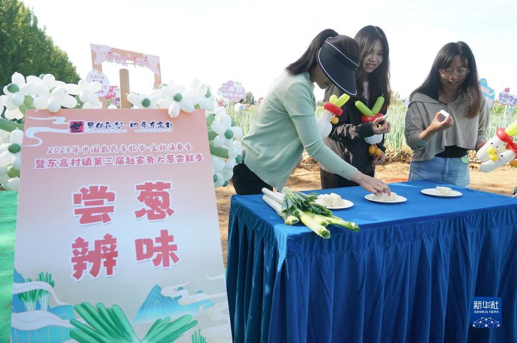 新开捕鱼网站